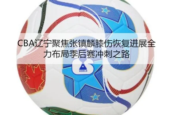 CBA辽宁聚焦张镇麟膝伤恢复进展全力布局季后赛冲刺之路